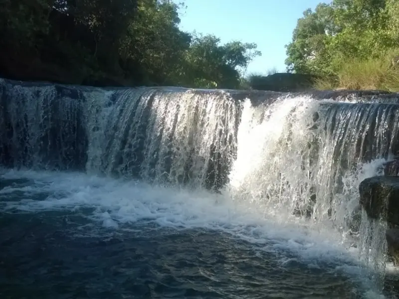 Imagem 5